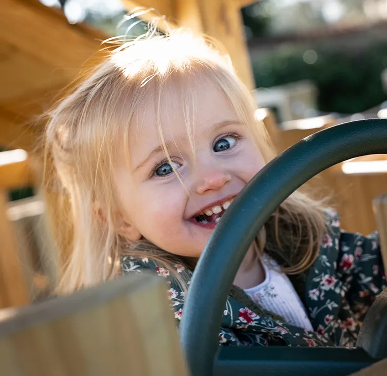 Climbing frames for your garden image